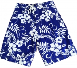 Waikiki Blue Shorts